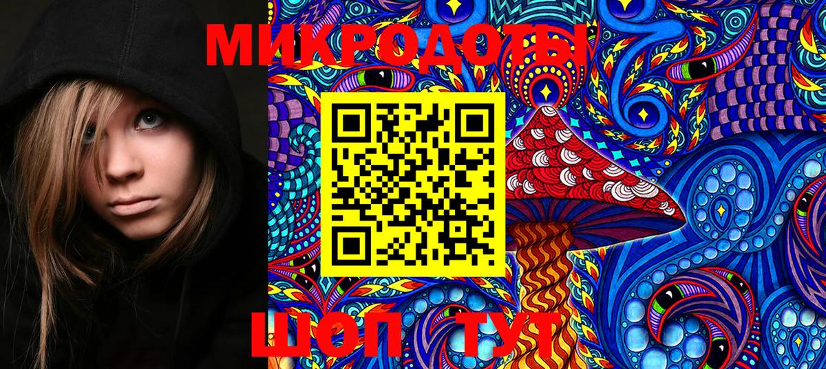 Псилоцибиновые грибы Psilocybine cubensis  Псилоцибиновые грибы прущие грибы  Вход с VPN  Вологда 